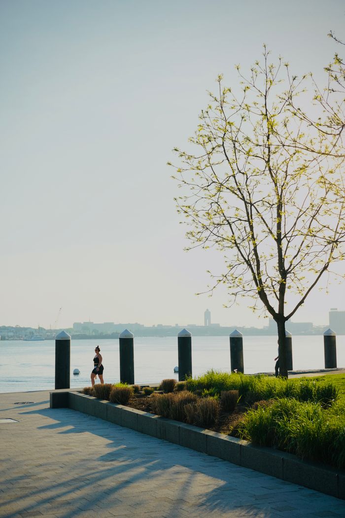 The Art of Drawing Readers In: Your attractive post title goes here Two people jogging along a riverside path on a sunny spring morning.