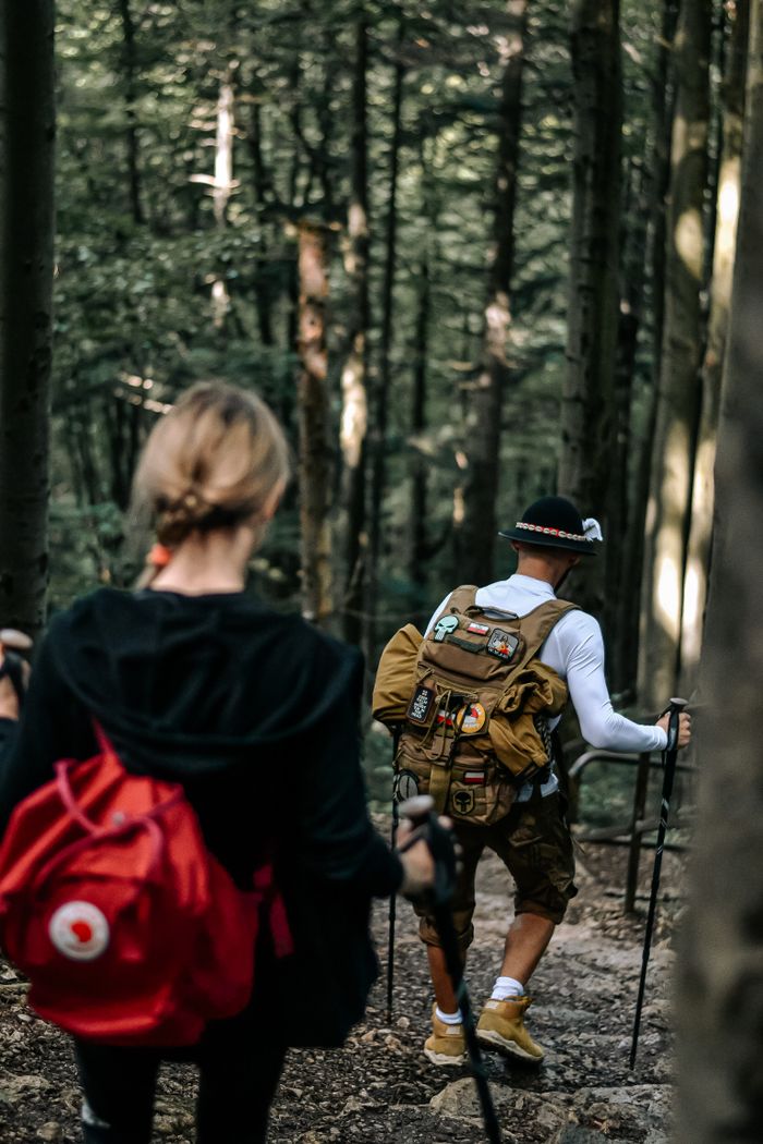Crafting Captivating Headlines: Your awesome post title goes here A couple hikes with backpacks and poles, exploring a dense forest on a sunny day.